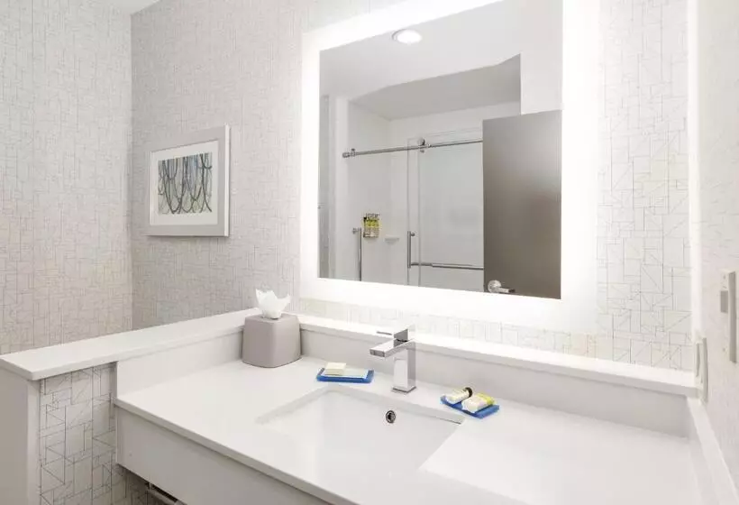 Hotelli Holiday Inn Express & Suites Dallas Nw   Farmers Branch, An Ihg