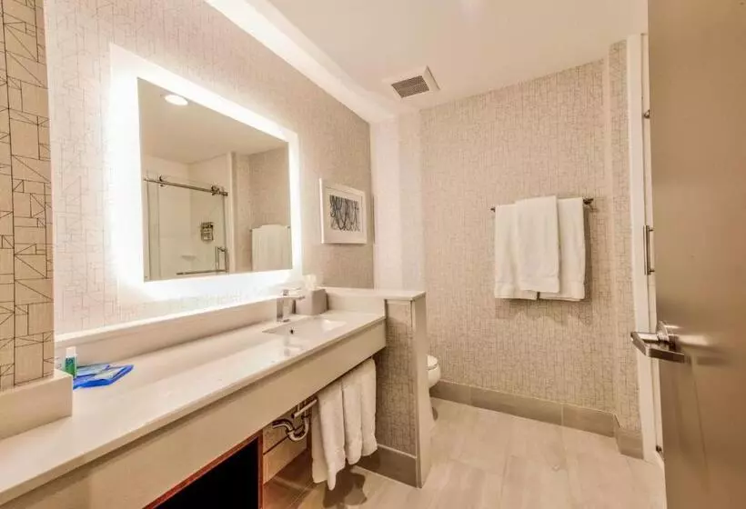 Hotelli Holiday Inn Express & Suites Dallas Nw   Farmers Branch, An Ihg