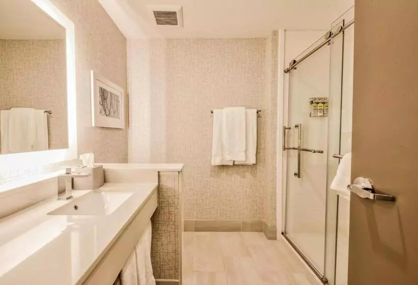 Hotelli Holiday Inn Express & Suites Dallas Nw   Farmers Branch, An Ihg