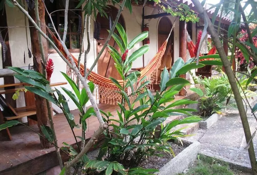 ホテル La Barquita Beach Hostel