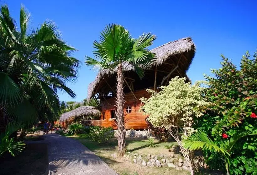ホテル La Barquita Beach Hostel