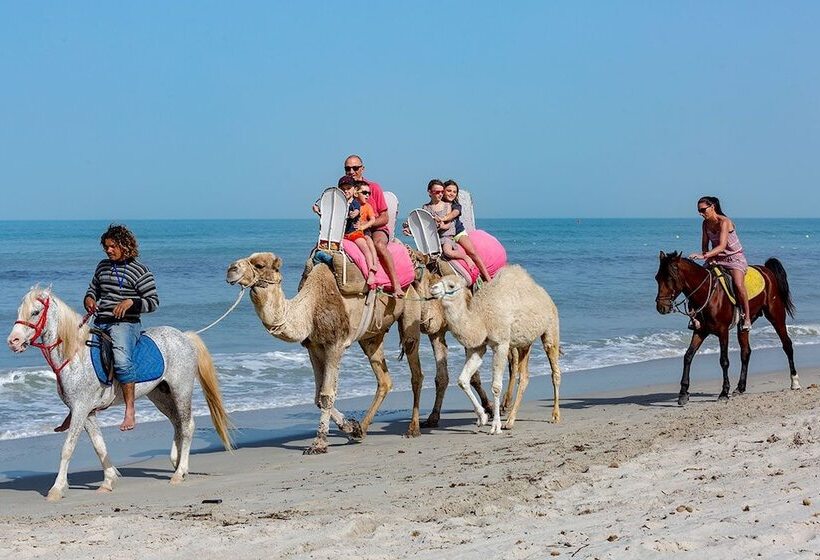 渡假胜地  Palm Beach Club Marmara Djerba