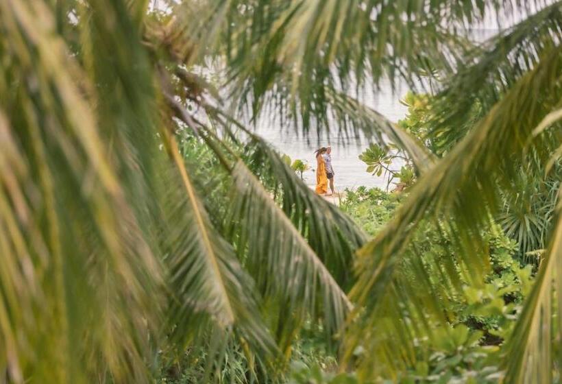 リゾートホテル Uga Bay   Pasikuda