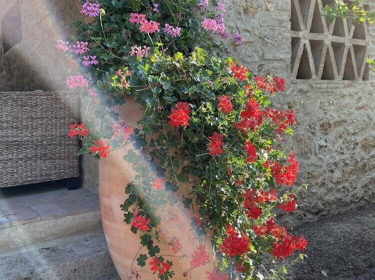 בית מלון כפרי Il Colombaio Winery & Rooms