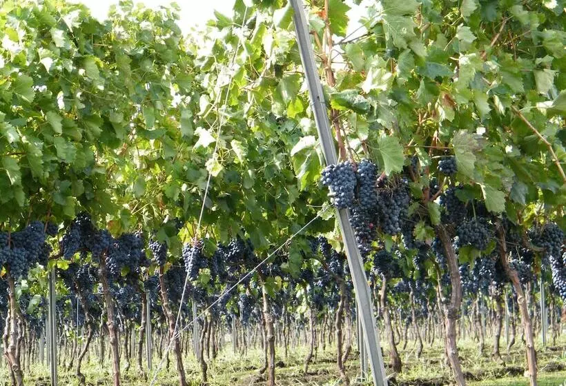 Hotelli Etna Wine Agriturismo