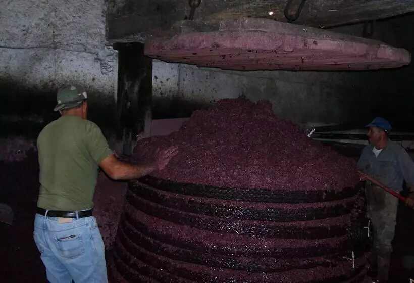 Hotelli Etna Wine Agriturismo