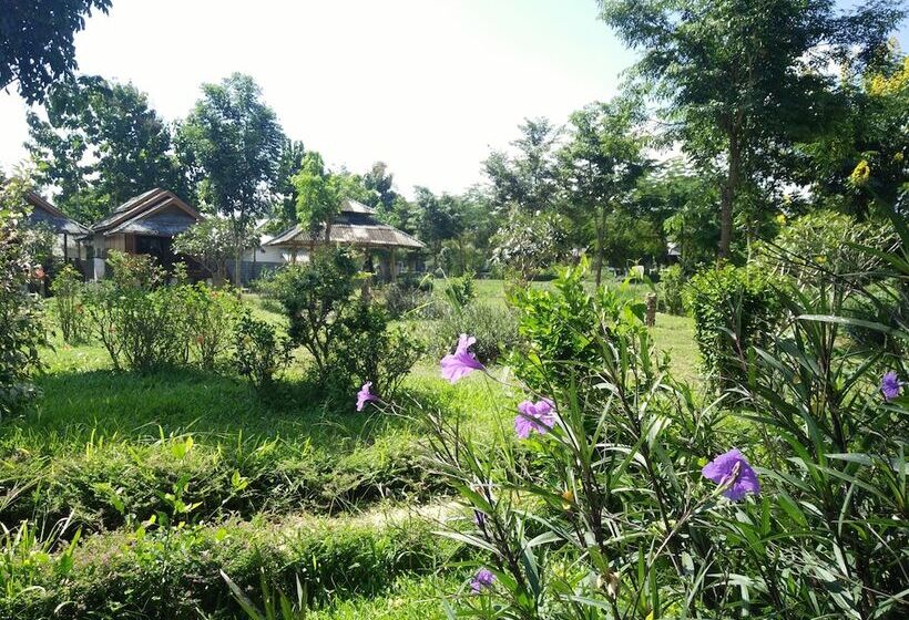 בית מלון כפרי Pai Park Cottage