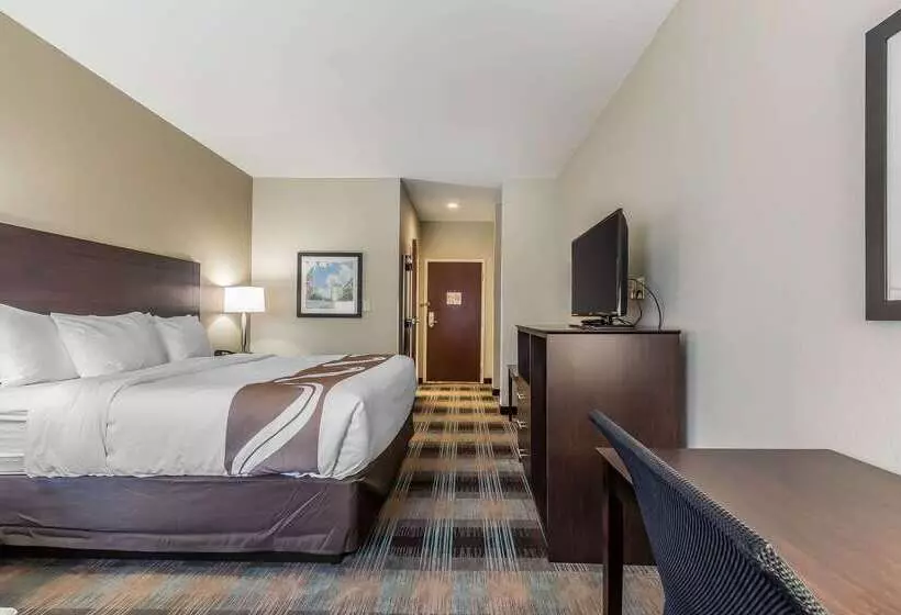 ホテル Quality Inn Pleasant View