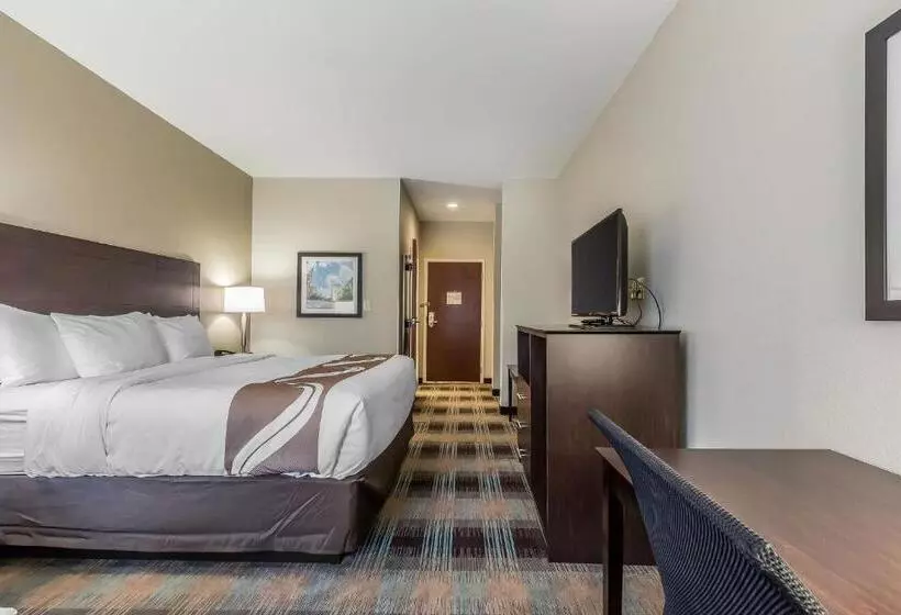 ホテル Quality Inn Pleasant View