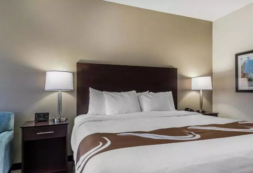 ホテル Quality Inn Pleasant View