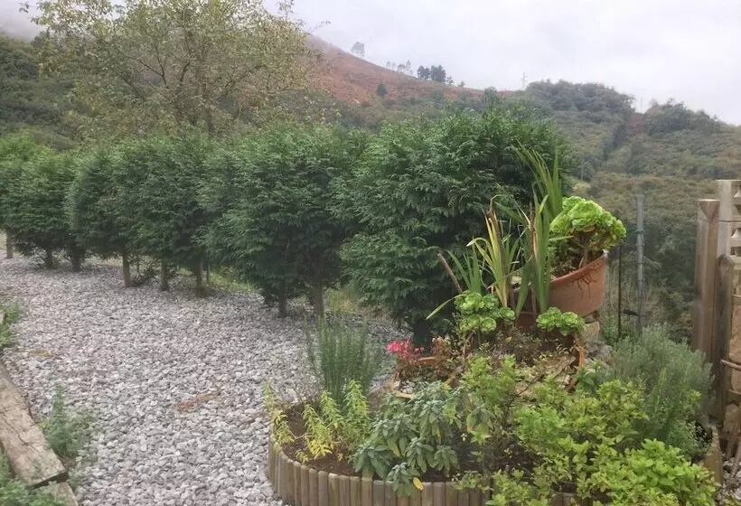 Spa Rural Mirador De Miranda