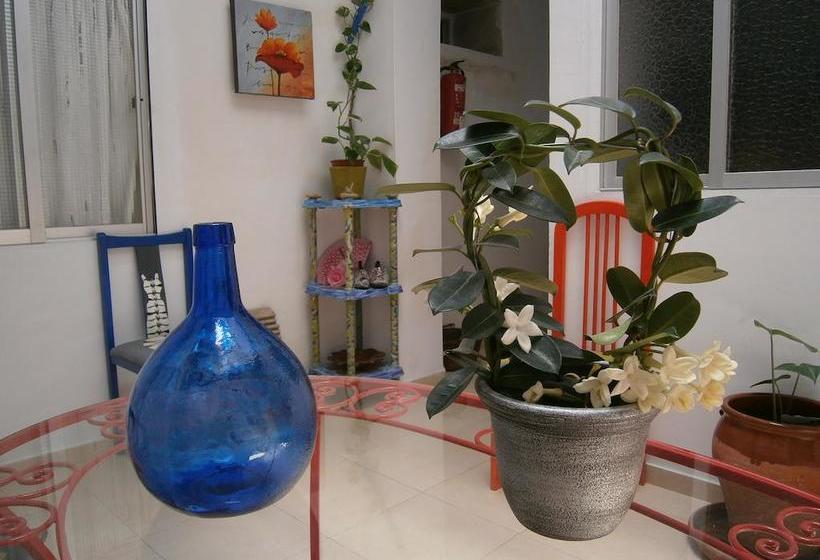 De Cadiz Cadi Hostel