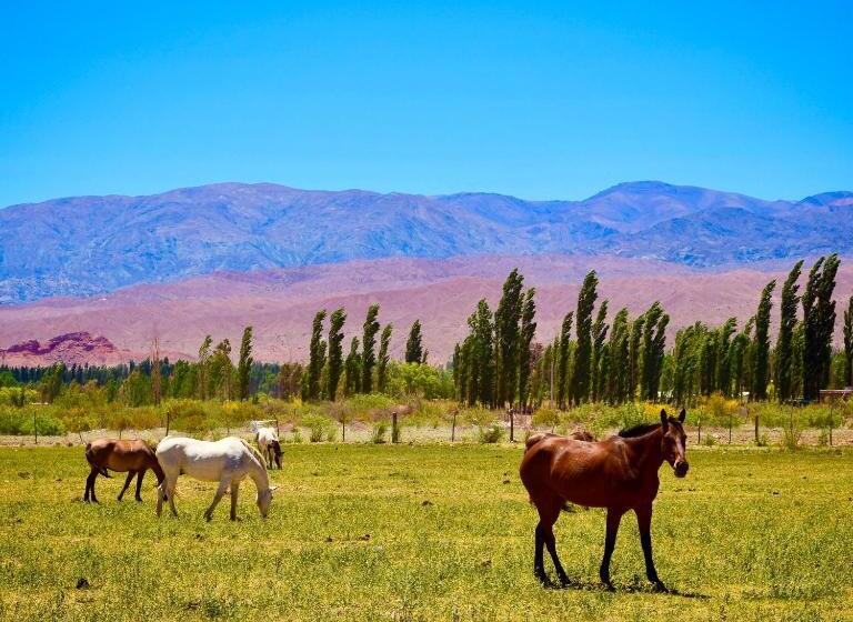 فندق فئة نجمة واحدة Ecoposada El Mercedario