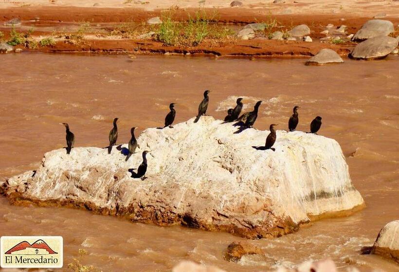 فندق فئة نجمة واحدة Ecoposada El Mercedario