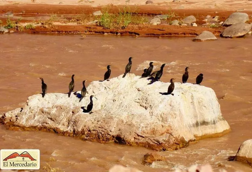 簡易ホテル Ecoposada El Mercedario