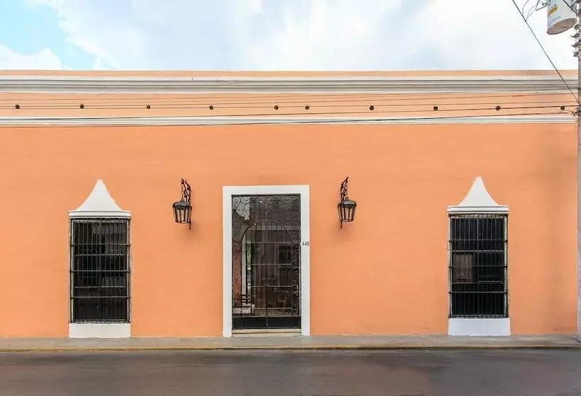 Art 64 Hotel Boutique   Adults Only