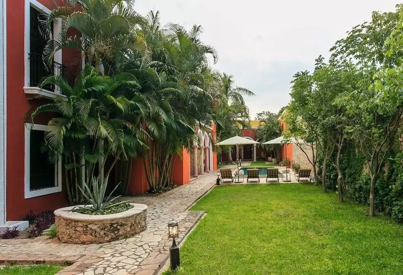 Art 64 Hotel Boutique   Adults Only