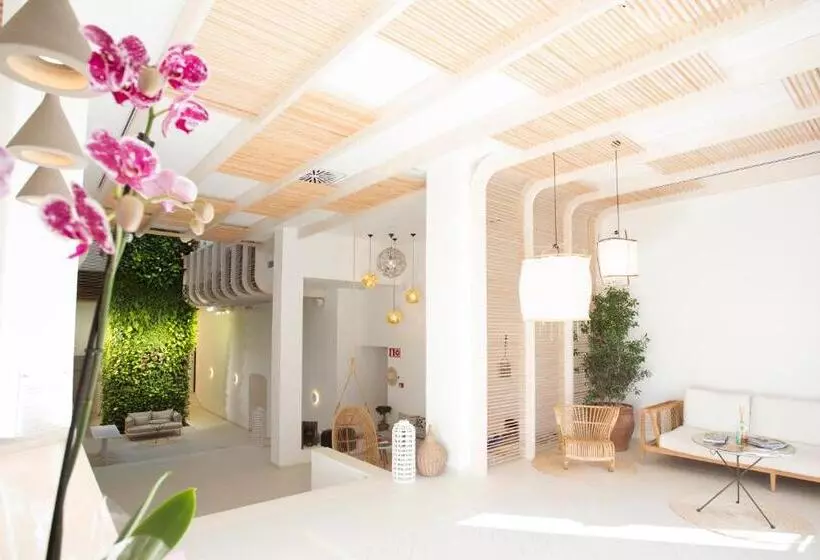 Hotelli Gatzara Suites Santa Gertrudis