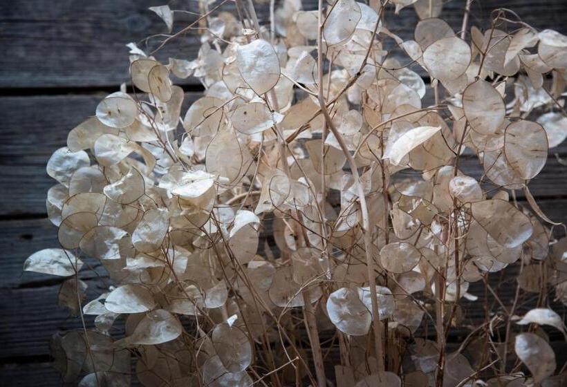 Отель La Poiana