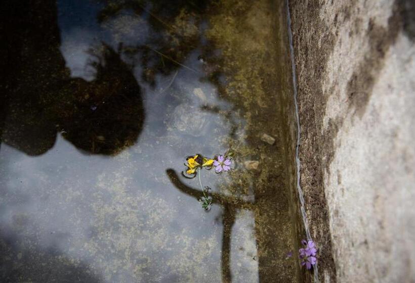 Отель La Poiana