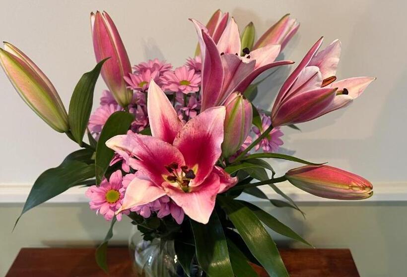 فندق Lurgan House