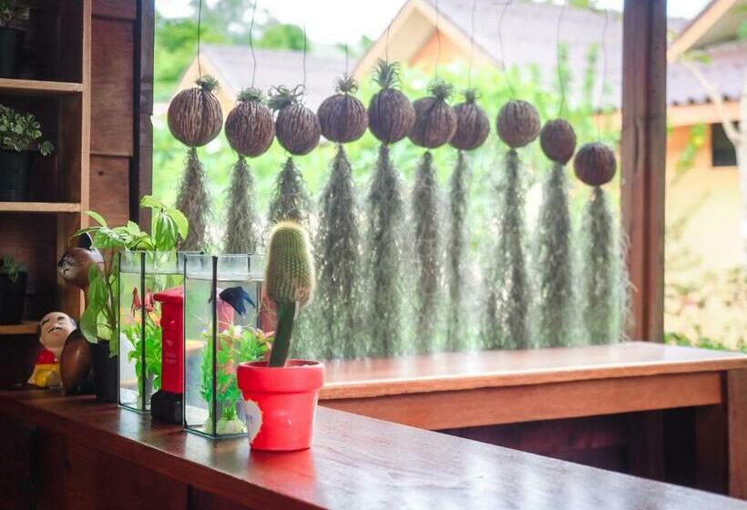 בית מלון כפרי Pai Homey