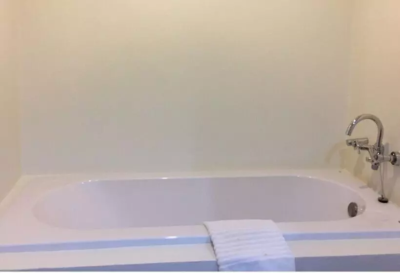 ホテル Vana Wellness Resort