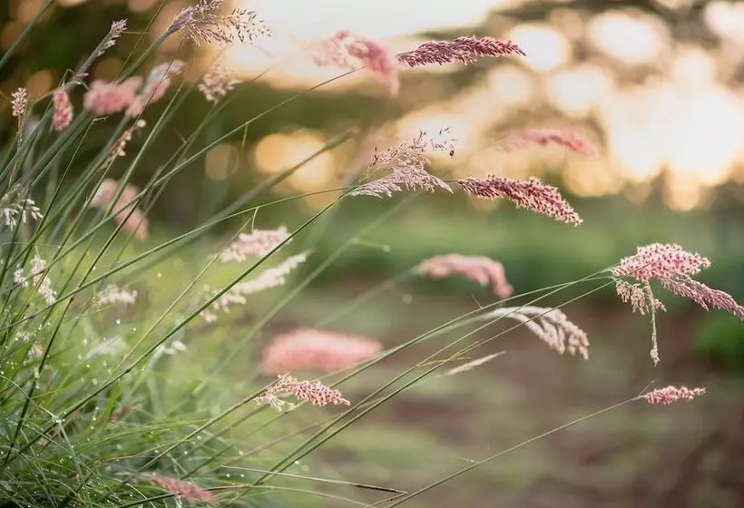 Majatalo The Hilton Bush Lodge