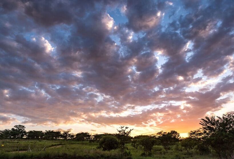 ペンション The Hilton Bush Lodge