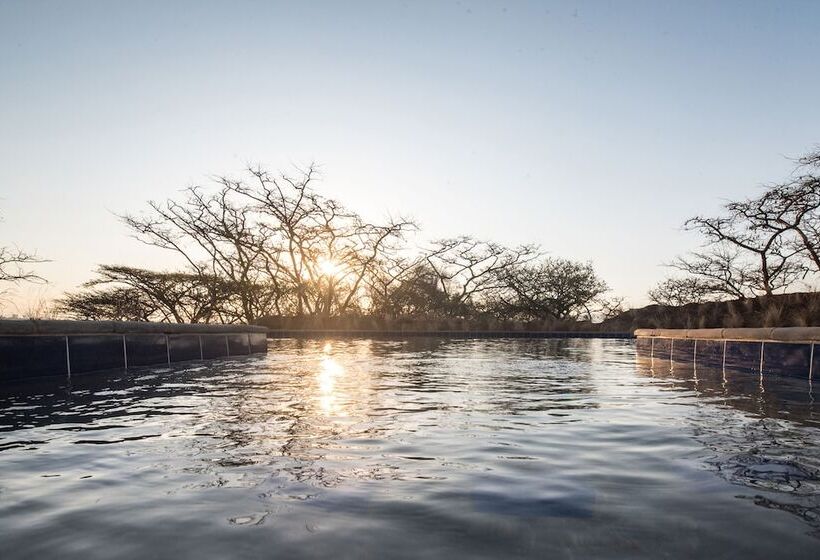 ペンション The Hilton Bush Lodge