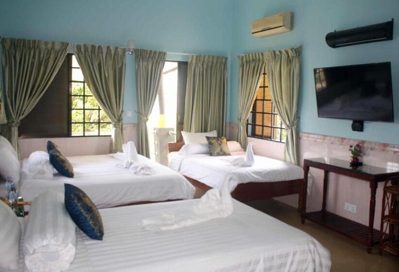 بنسيون The Magic Sponge