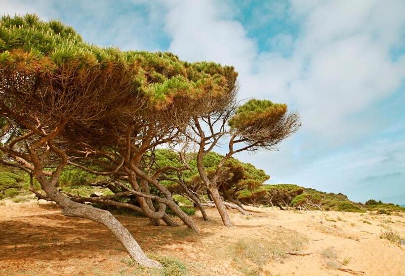 אתר נופש Bungalows Puravida