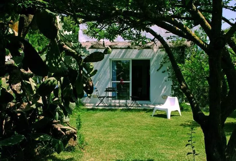リゾートホテル Bungalows Puravida