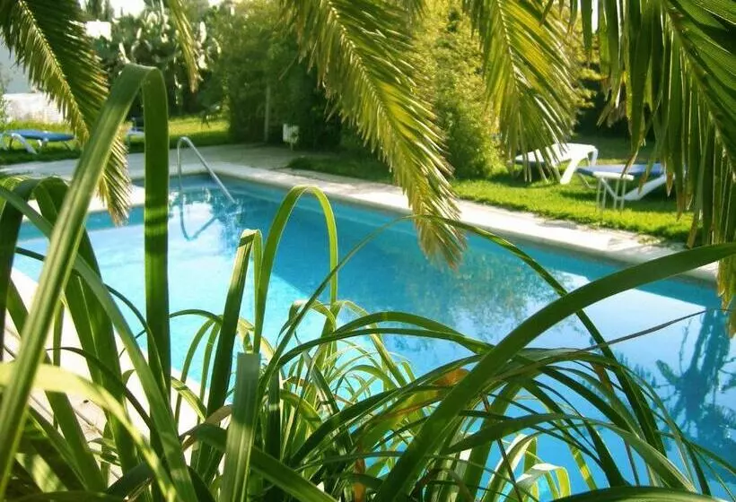 リゾートホテル Bungalows Puravida