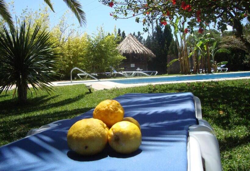 אתר נופש Bungalows Puravida