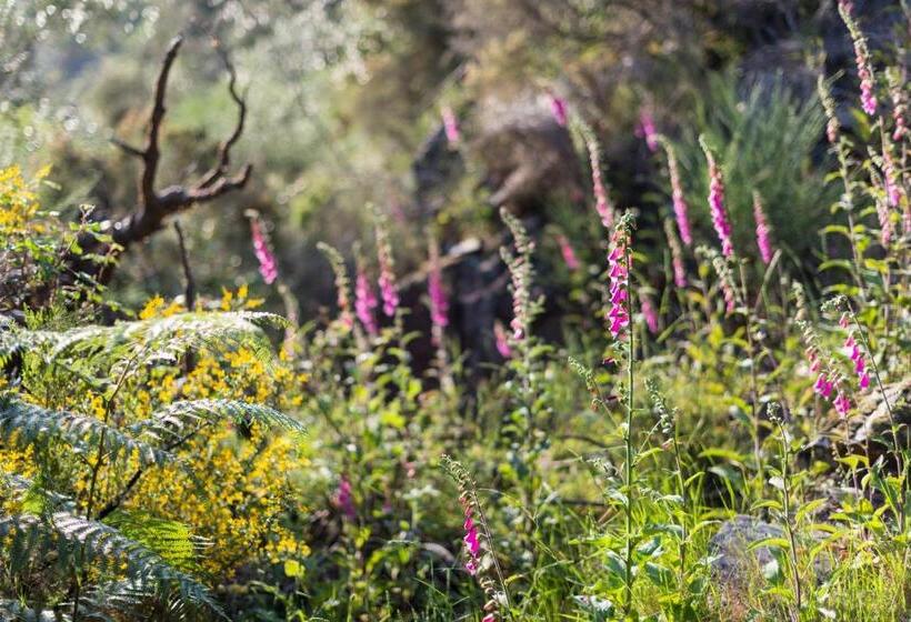 Общежитие Cerdeira Home For Creativity