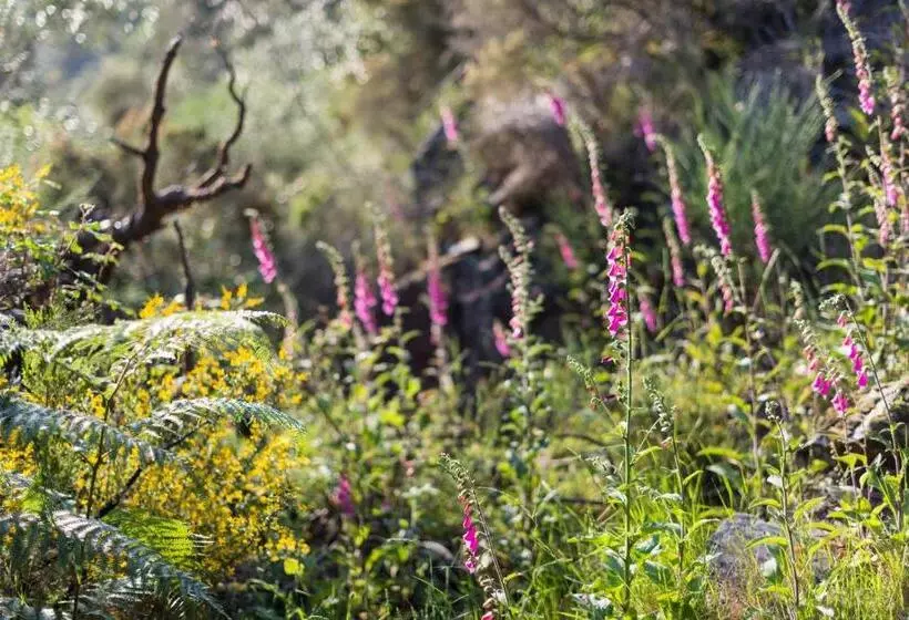 Retkeilymaja Cerdeira  Home For Creativity