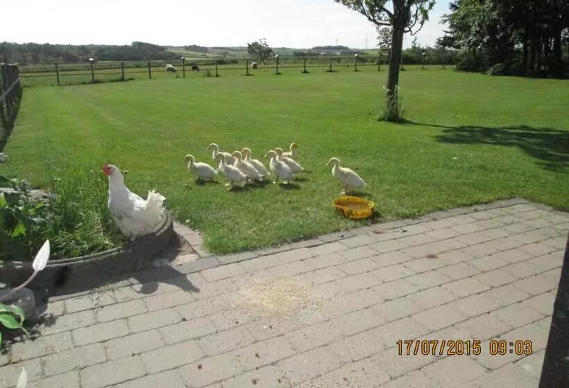 Hostelli Bakkegården Homestay