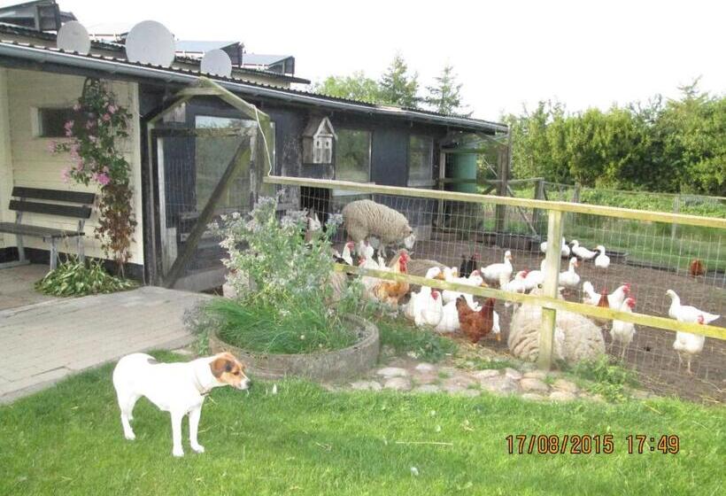 פונדק Bakkegården Homestay