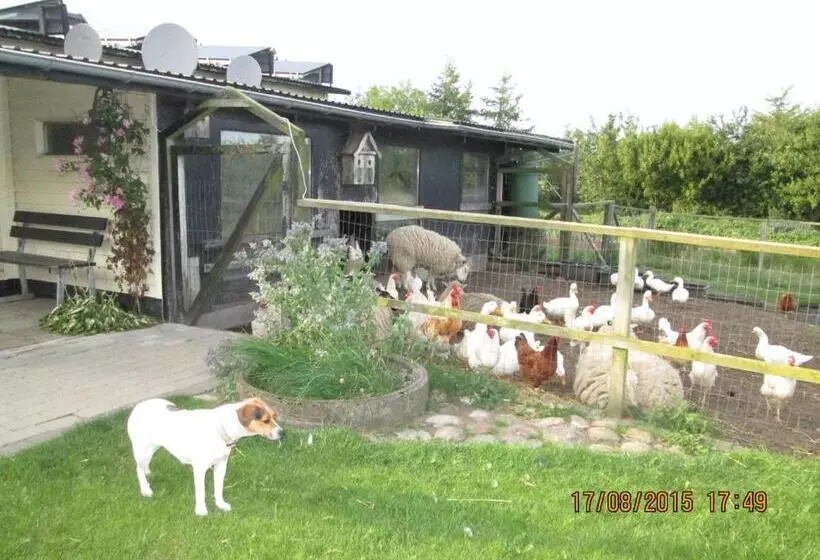 Hostelli Bakkegården Homestay