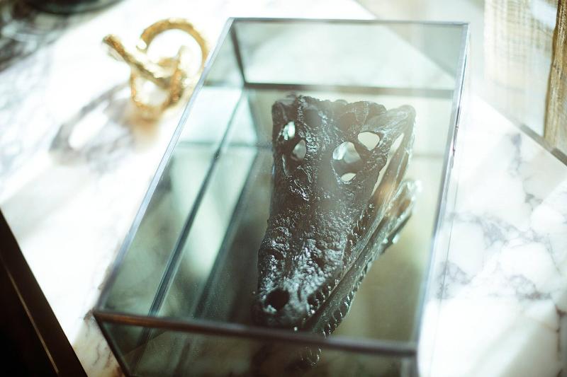 Ac Hotel By Marriott Gainesville Downtown