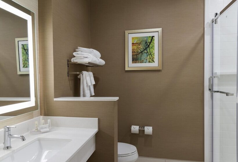 Отель Fairfield Inn & Suites By Marriott West Monroe