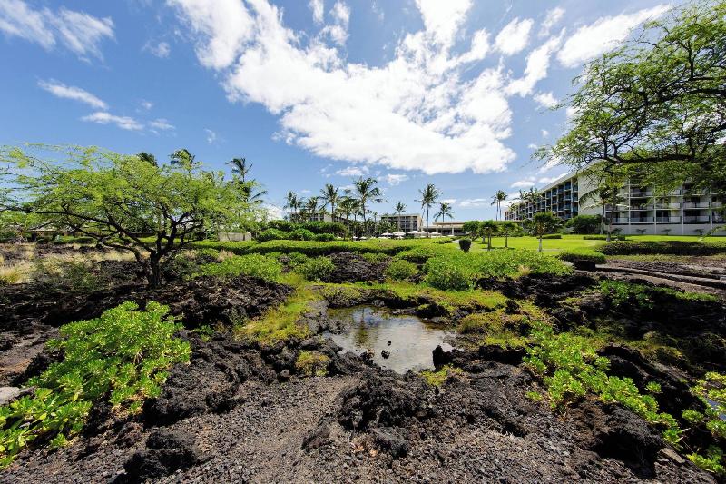 Hotelli Marriott’s Waikoloa Ocean Club