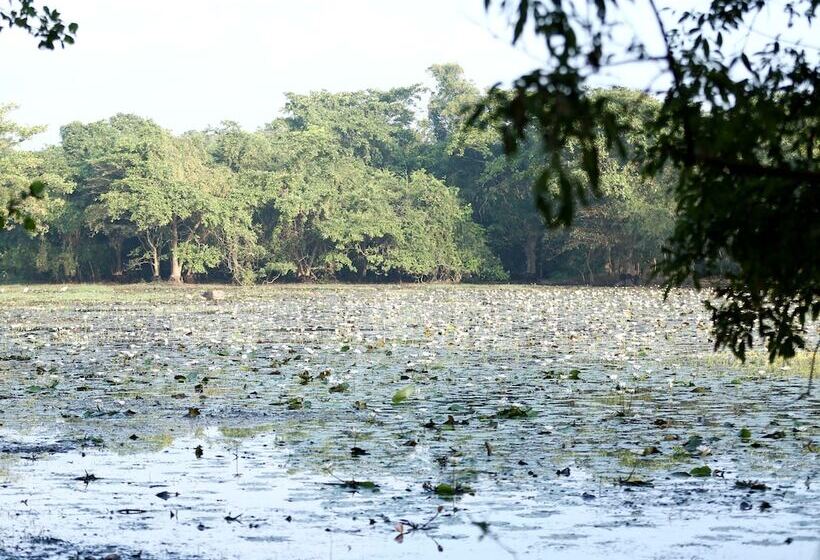 Kaveri Resort Sigiriya