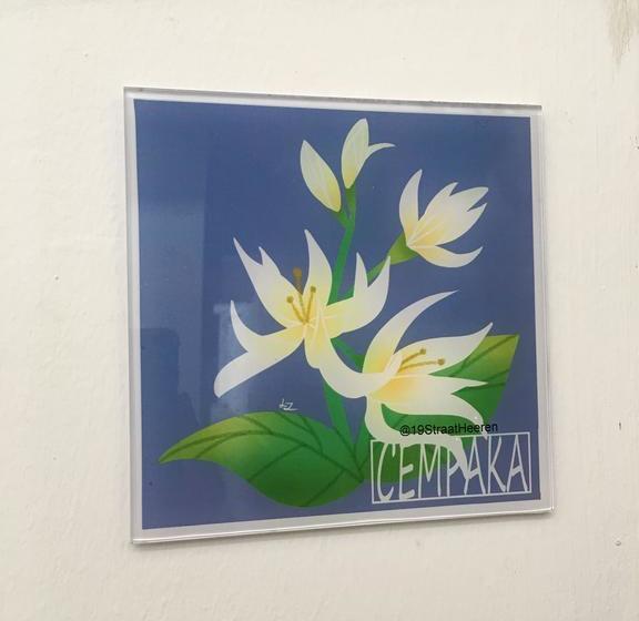 Bed and Breakfast 19straatheeren