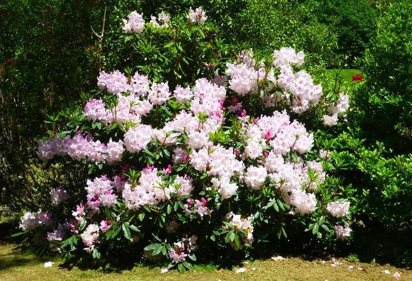 צימר Acacia Heights Gardens