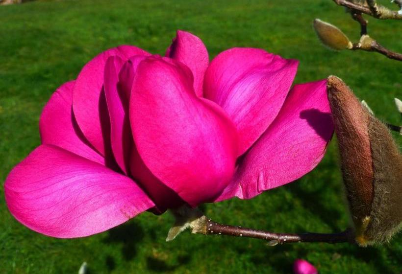 צימר Acacia Heights Gardens