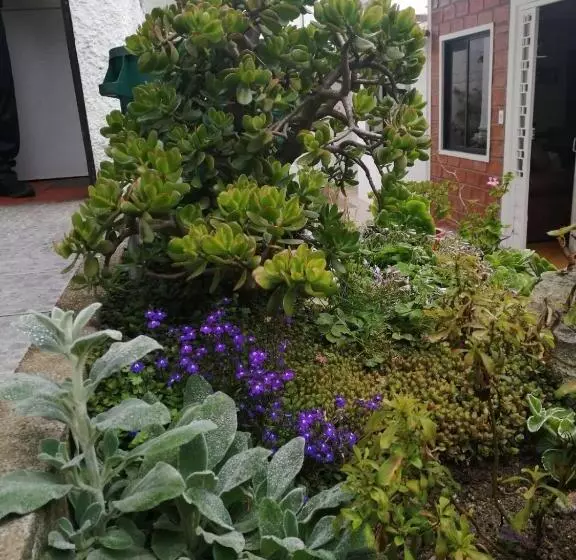 Bed & Breakfast Casatodosantos