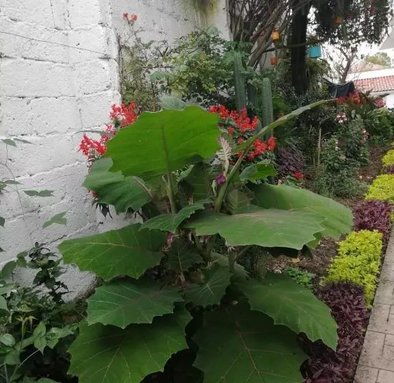 Bed & Breakfast Casatodosantos