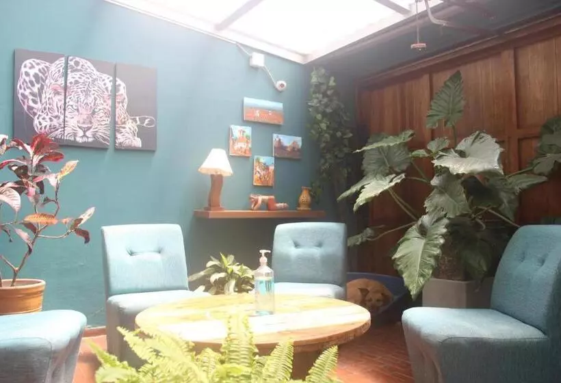 Bed and Breakfast La Casona Azul